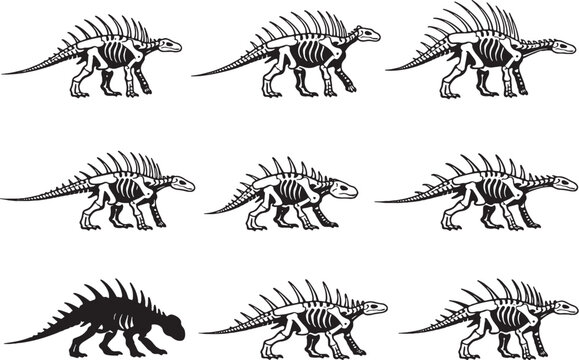 Amargasaurus Skeleton Line Art Bundle