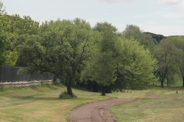 Obraz premium path in the park