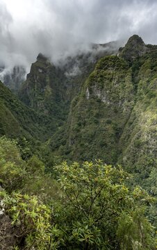 View of steep forested cloud-covered mountains, Levada do Caldeir&atilde;o Verde, Parque Florestal das Queimadas, Madeira, Portugal