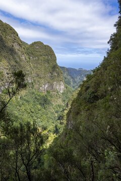 View of steep forested mountains, Levada do Caldeir&atilde;o Verde, Parque Florestal das Queimadas, Madeira, Portugal