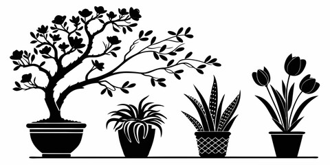 Three potted plants with varying growth stages in a row Vector © Sa