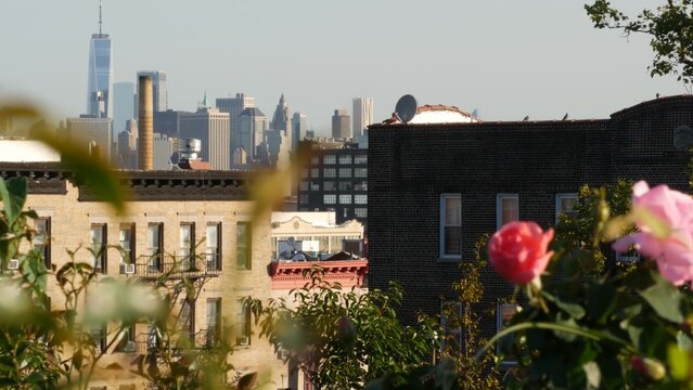 New York City Manhattan downtown financial district skyline, Brooklyn Sunset Park, United States of America. Urban cityscape with skyscraper buildings, World Trade Center from residential district