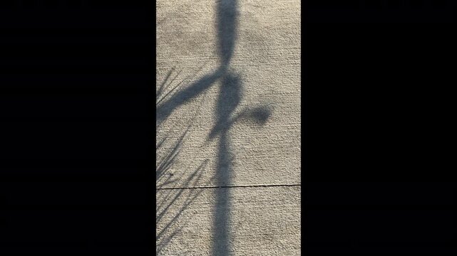 Shadow of caution tape wavers by edge of grass in a somewhat fitful breeze along a concrete sidewalk on a sunny afternoon. Motifs of public safety, awareness, and risk avoidance. Vertical B-roll, 4K.