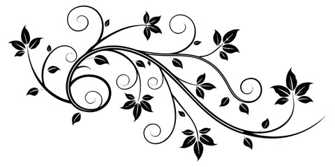 Elegant black and white decorative swirl with leafy accents Vector