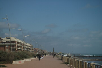 sunset over the harbor