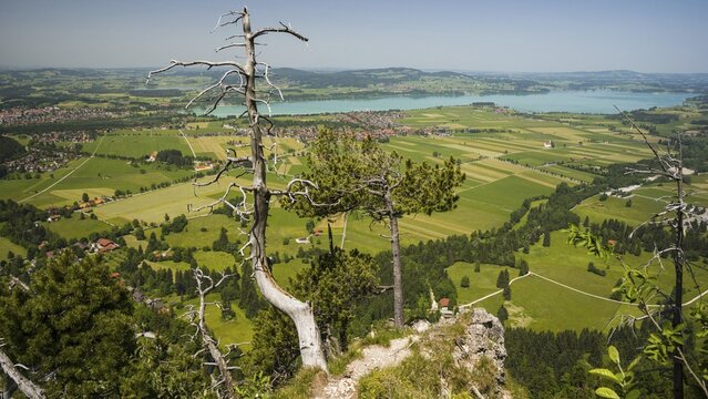 Panorama of the Tegelberg massif, F&uuml;ssen, Forggensee, Waltenhofen and baroque church of St. Coloman, Ostallg&auml;u, Allg&auml;u, Swabia, Bavaria, Germany
