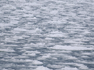 海の上に浮かぶ流氷　2026年2月 © tawa--mana