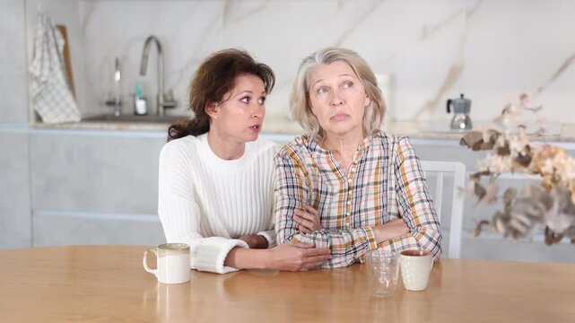 Adult daughter apologizes to her elderly mother after a domestic quarrel. High quality 4k footage