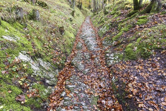 Celtic road, Roman road, Rottweg, historic track road near Klais, Werdenfelser Land, Upper Bavaria, Bavaria, Germany