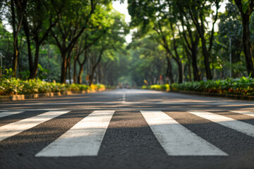 Quiet urban road with a pedestrian crosswalk surrounded by lush green trees and soft sunlight creating a peaceful and inviting cityscape atmosphere