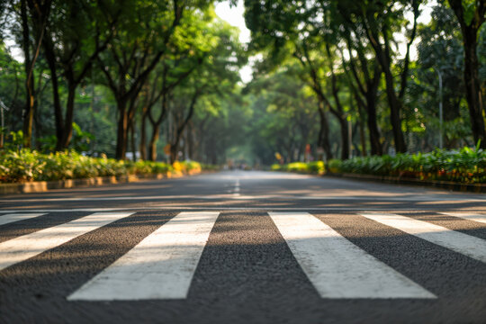 Quiet urban road with a pedestrian crosswalk surrounded by lush green trees and soft sunlight creating a peaceful and inviting cityscape atmosphere