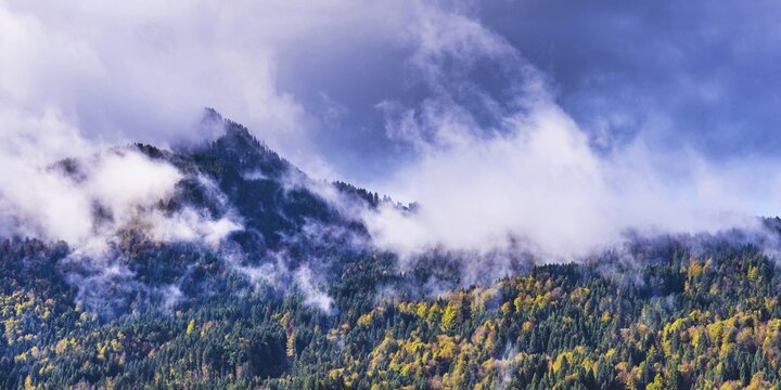 Departing thunderclouds, mountain forest near S&ouml;llerkopf, 1940m, and S&ouml;llereck, 1706m, Oberallg&auml;u, Bavaria, Germany