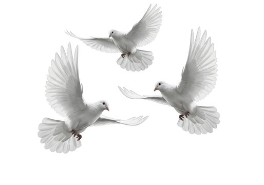 Three white doves in flight against a stark black background