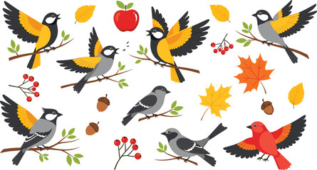 Autumn birds on branches with colorful leaves berries and acorns flat vector illustration collection © Kharshad Creative