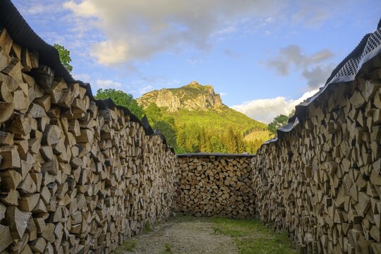 Woodpile behind mountain Velky Rozsutec, &Scaron;tefanov&aacute;, Žilinsk&yacute; kraj, Slovakia