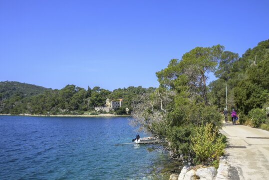 Beautiful cycle path along the lake, Mljet Island, Dubrovnik-Neretva County, Croatia