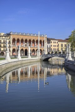 Prato della Valle, Padua, Province of Padua, Italy
