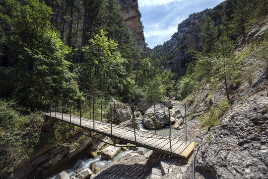 Hiking trail with bridge in the gorge of Trevans, Gorges de Tr&eacute;vans, river L Estoublaisse, near Estoublon, Alpes-de-Haute-Provence, Provence, France