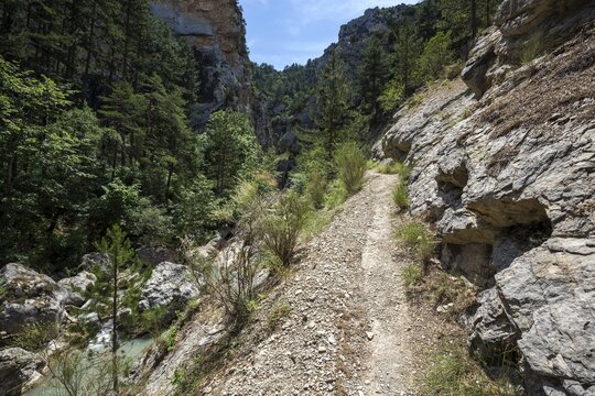 Hiking trail in the gorge of Trevans, Gorges de Tr&eacute;vans, lower left river L Estoublaisse, near Estoublon, Alpes-de-Haute-Provence, Provence, France