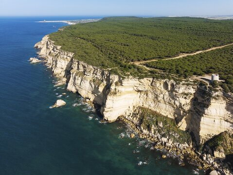 Cliff, pine tree (Pinus pinea) forest and watchtower Torre de Tajo in the Nature Reserve La Bre&ntilde;a y Marismas del Barbate, in the distance Cape Trafalgar, aerial view, drone shot, C&aacute;diz province, Andalusia, Spain