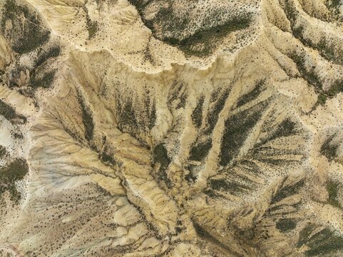 Bare ridges of eroded sandstone in the badlands of the Tabernas Desert, Europe's only true desert, aerial view, drone shot, Almer&iacute;a province, Andalusia, Spain
