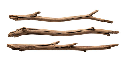 Obraz premium Three brown driftwood branches isolated on white background