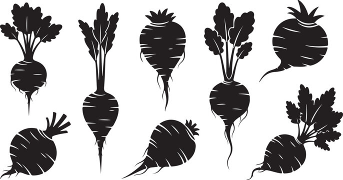 Black Silhouettes of Beets with Leaves Isolated