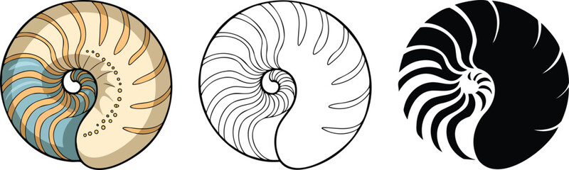 Obraz premium Seashell silhouette & Outline and illustration set isolated on transparent background