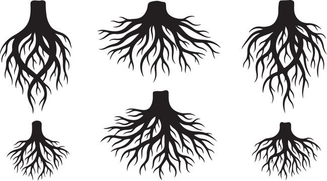 Set of black tree root silhouettes on white background