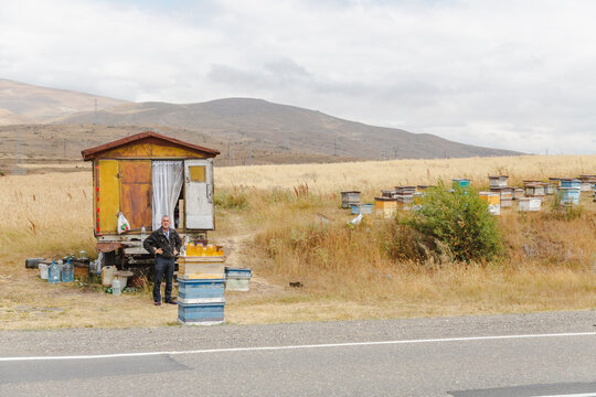Vorotan Pass, Armenia - 16 August 2025: View of a beekeeper standing proudly by his colorful mobile apiary, a rustic cabin amidst golden fields, under a vast sky.