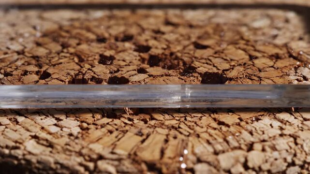 Water absorption in cork surface demonstrating absorbent material properties