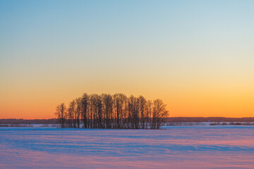 Silent winter solitude. Solitary tree beneath pastel skies. Desolate winter scene with soft colors and quiet mood. Lone tree in snowy landscape at sunset evokes calm and isolation