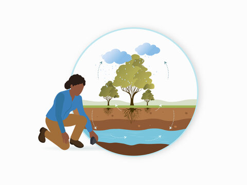 Forest Ecosystem Environmental Infographic Collection Person studying water cycle and groundwater resources conservation