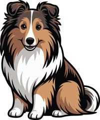 Fototapeta premium Cute cartoon a illustrator vector shetland sheepdog