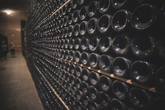Tequisquiapan, Mexico - 09 February 2025: View of a vast wall of wine bottles, their dark glass creating a mesmerizing pattern of light and shadow in the wine cellar.