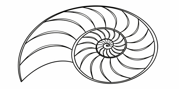 Intricate spiral patterns of a nautilus shell showcasing nature's perfect symmetry Vector