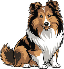 Cute cartoon a illustrator vector shetland sheepdog