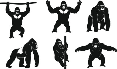 Gorilla Silhouette Collection Featuring Powerful Primate Poses for Sports Mascot Logo Design Wildlife Nature Conservation and Zoo Animal Vector Illustration © Rowshan