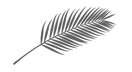 Palm leaf vector illustration