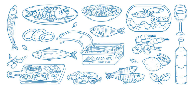 Doodle italian seafood. Shrimps, mussels, cheese and meat place, wine lemon, fresh salad. Beachcoast restaurant menu, delicious food, neoteric vector set