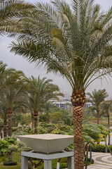Lush palm garden and waterfront at the Museum of Civilisation in Cairo, Egypt overlooking the Nile river