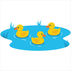 Adorable Ducklings in a Pond Isolated Vector Illustration on White Background
