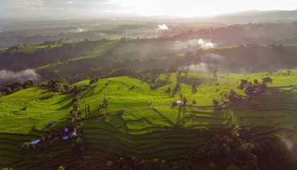 Aerial view of lush green rice terraces at sunrise with misty valleys and rolling hills in the background