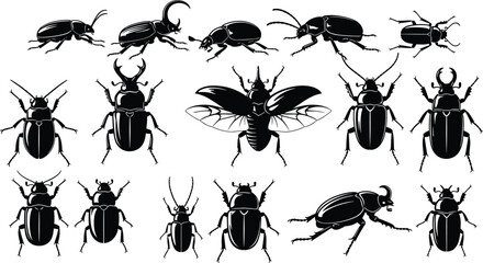 Beetle silhouette icon set, insect vector illustration, entomology design for biodiversity, bug morphology art, wildlife species graphic collection © hiiii