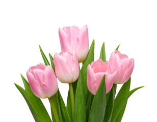 Firefly_Meat carving knifes isolated on transparent background. PNG , se of - Firefly_Pink tulips isolated on transparent background. PNG , se of