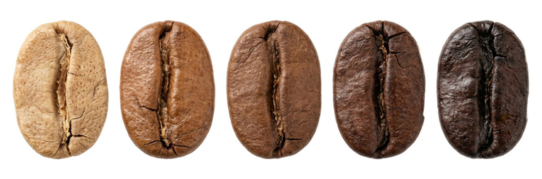 Coffee beans in various roast levels from light to dark