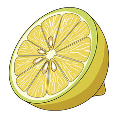 Half lemon cut isolated on white background, fresh citrus fruit slice with seeds and juicy pulp