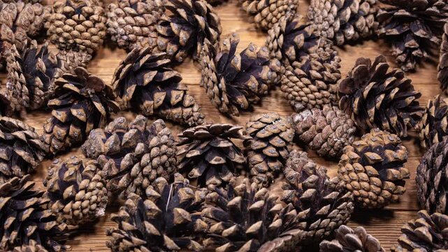Pine Cones Opening in Time Lapse on a Wooden Background. Fir Cones Moving. Top View