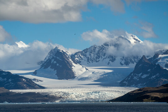 View into land of a Glacier and mountain landscape with ice floes floating in the ocean, South Georgia