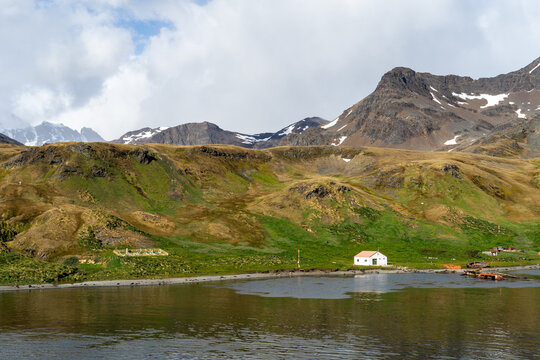 View into land of a Historic cemetery at an abandoned whaling station, Grytviken, South Georgia